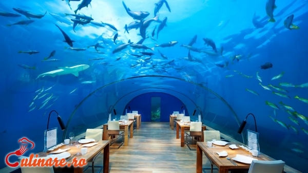 Foto - Top 5 restaurante ciudate