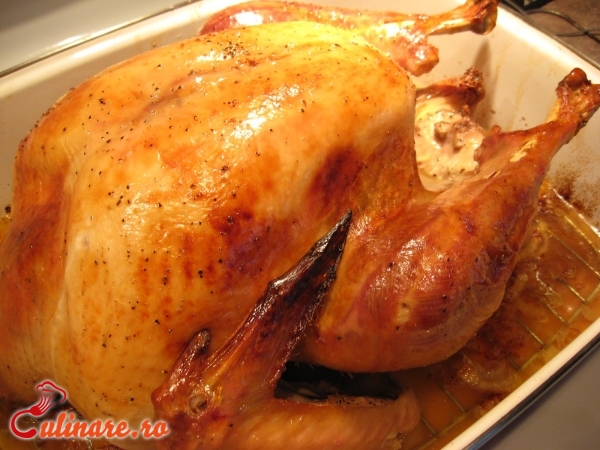 Foto - Tot ce trebuie sa stiti despre carnea de curcan