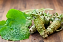 Ce este Wasabi
