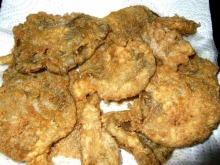 Ciuperci pleurotus pane