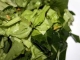 Salata de leurda