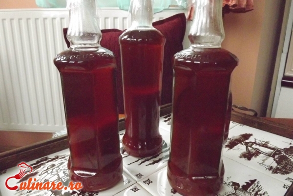Foto - Sirop de macese