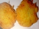 Tocinei