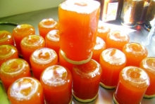 Gem de caise
